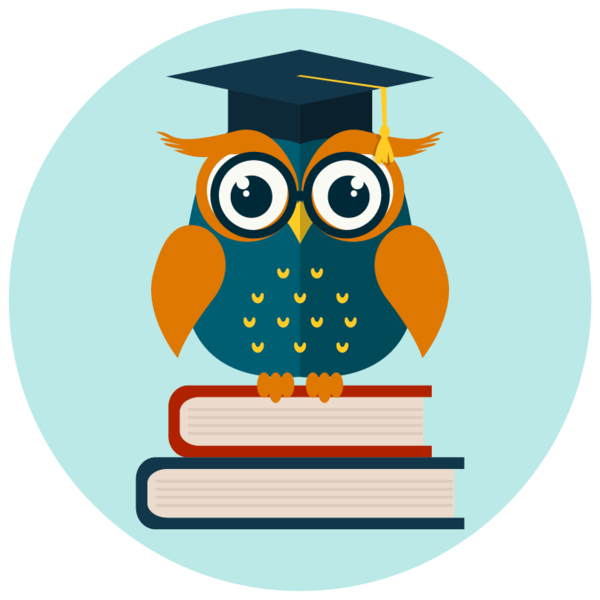 Wise Owl Academy Logo