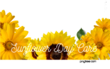Sunflower Home Day Care