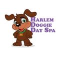 Harlem Doggie Day Spa