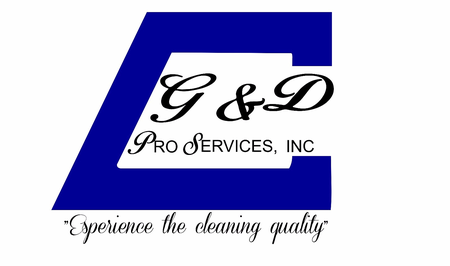 GD Pro Services Inc.