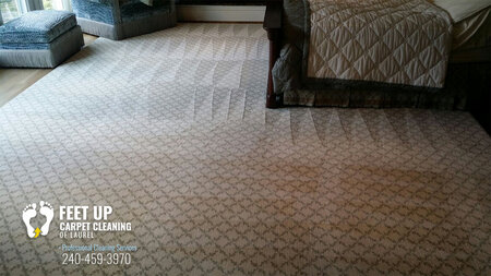 Feet Up Carpet Cleaning of Laurel