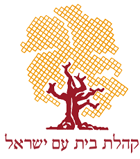 Temple Beth Ahm Yisrael Logo