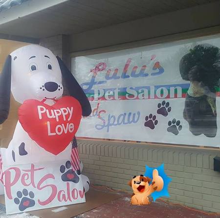 lulus pet salon and spaw