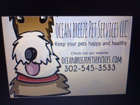 Ocean Breeze Pet Services LLC