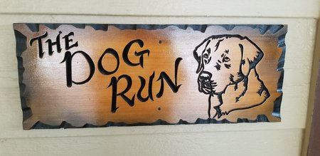 The Dog Run