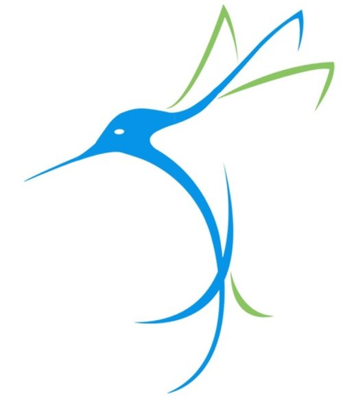 Little Hummingbirds Daycare Logo