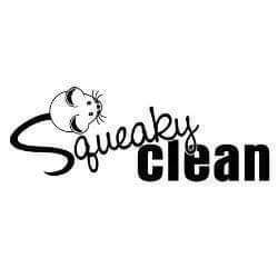 Squeaky Clean Logo