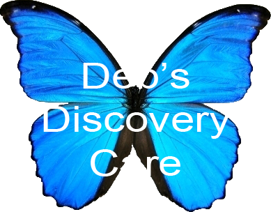 Deb's Discovery Care Logo