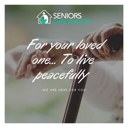 Seniors Care Services