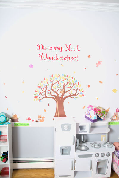 Discovery Nook Wonderschool Logo