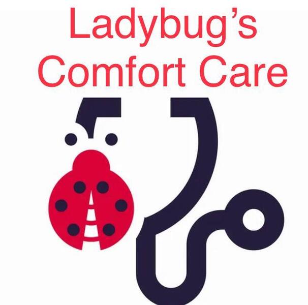 Ladybugs Comfort Care Logo