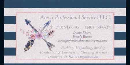 ArevirProfessional Services LLP