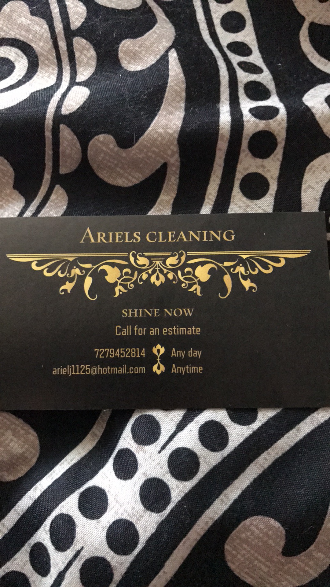 Ariel's Cleaning Logo