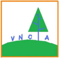 VNCIA Tutoring Services