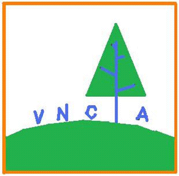 Vncia Tutoring Services Logo