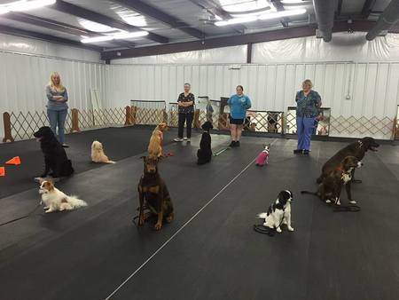 Cape Fear Dog Training Club