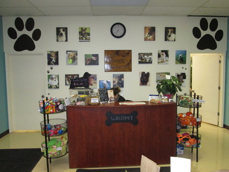 Lakeside Dog Grooming Boarding and Daycare