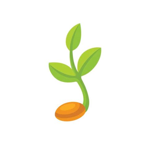 Little Sprouts Child Care Logo