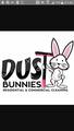 Dust Bunnies Cleaning Service