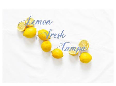 Lemon Fresh Tampa LLC
