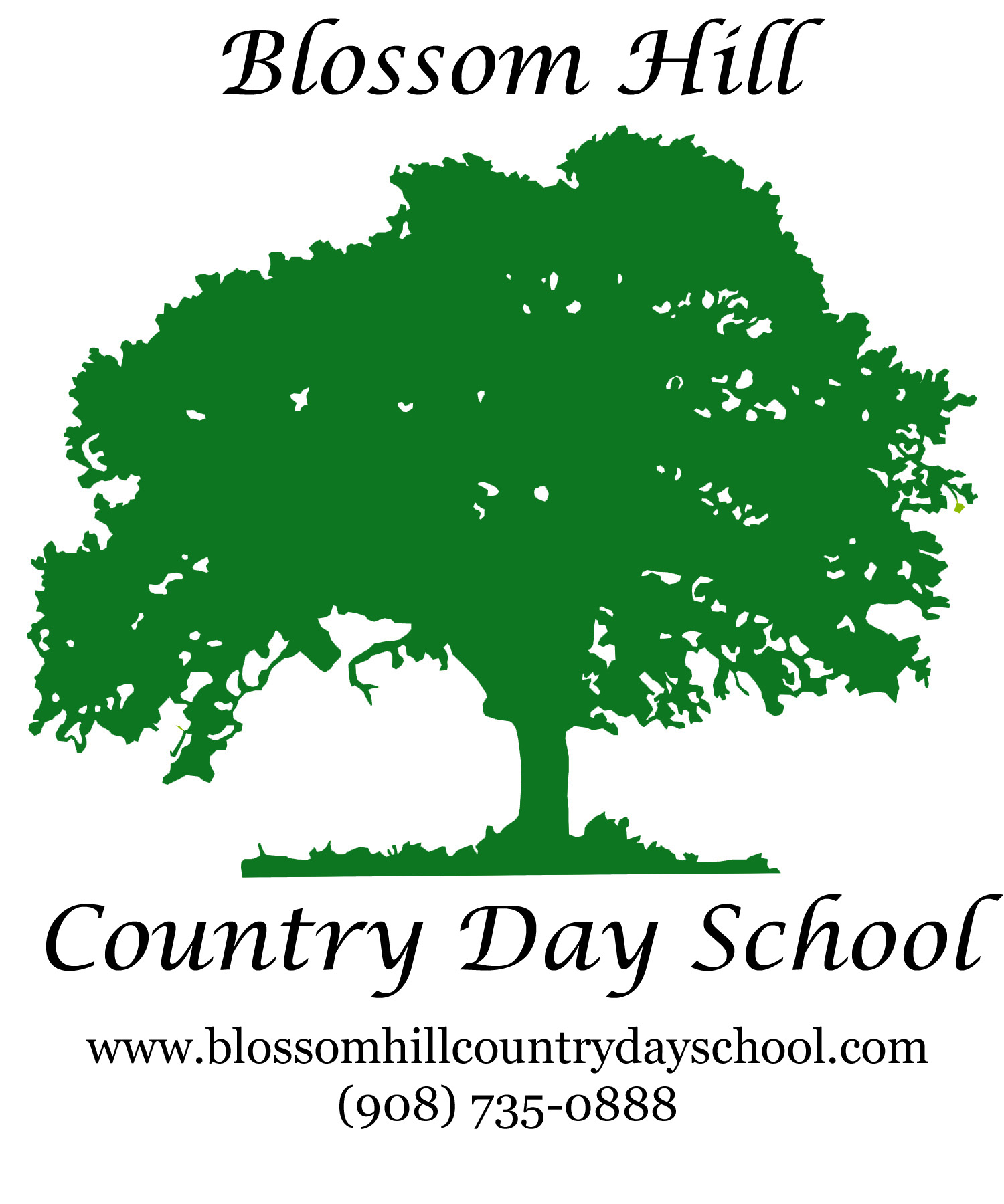 Blossom Hill Country Day School Logo