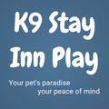 K9 Stay Inn Play