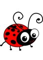 Little Lady Bug