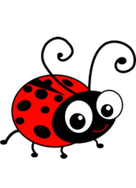 Little Lady Bug Logo