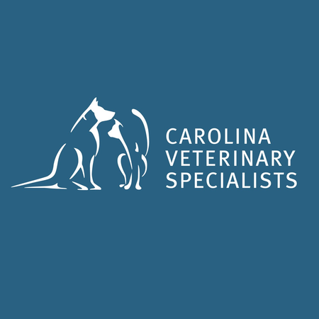 Carolina Veterinary Specialists