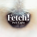 Fetch! Pet Care Lake Norman-Concord