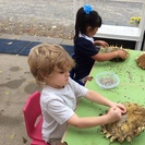 Village Montessori School
