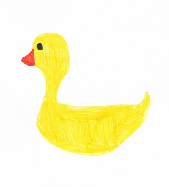 Little Ducklings Childcare Logo