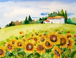 The Sunflower Patch