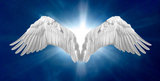 Anointed Angel's Home Care Service