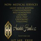 Anointed Hand's LLC