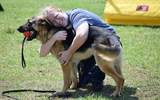 Fehrenbach Haus Dog Training