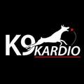 K9 Kardio Dog Walking & Pet Sitting