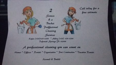 2 Sisters & a Bucket Professional Cleaning Services