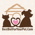 Best Bet For Your Pet Dog Walking & Pet Sitting