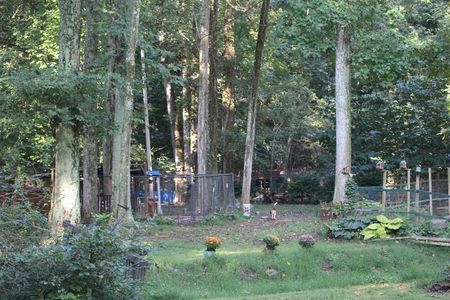 Legacy clearance boarding kennel