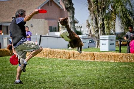 K9 Disc Thrills / 2 Paws Up Dog Training