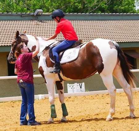 North Texas Equestrian Center, Inc.