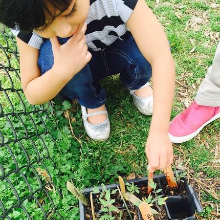 Lil Mindbuilders Learning Center