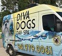 Diva Dogs Day Spa