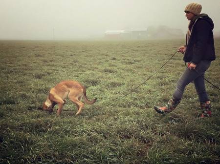 Harmony Canine Training