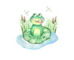 Pollywogs to Speckled Frogs Childcare and Preschool