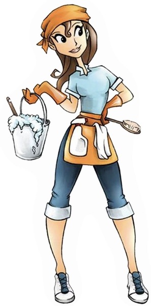 Maids Will Clean Logo