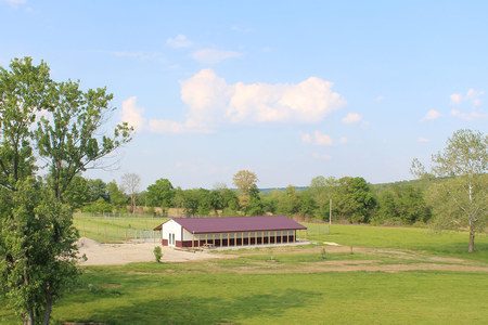 Sweet Pea Kennels