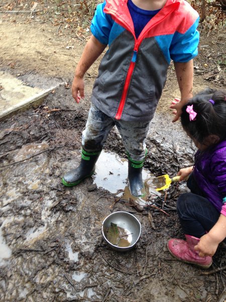 Little Finch Forest School