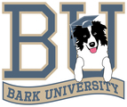 Bark University, Inc.